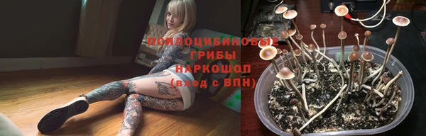 гашик Аркадак