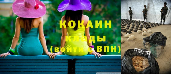 гашик Аркадак